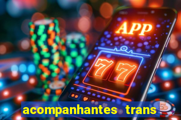 acompanhantes trans baixada fluminense