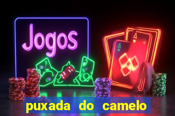 puxada do camelo no jogo do bicho