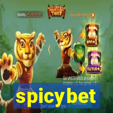 spicybet