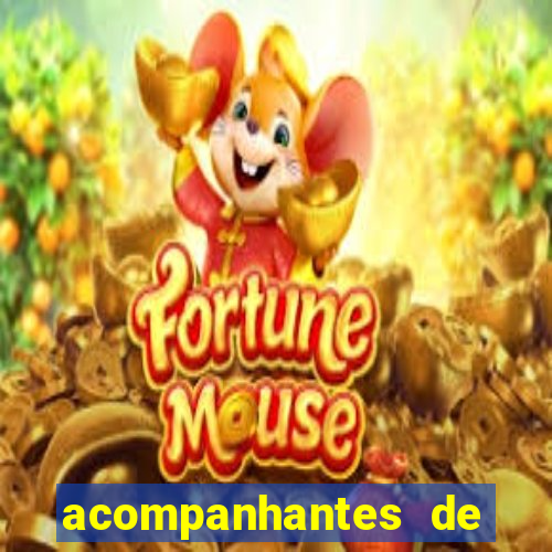 acompanhantes de juiz de fora