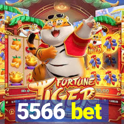 5566 bet