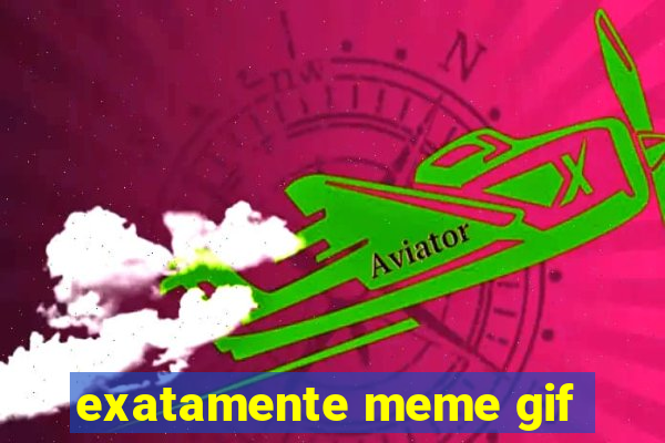 exatamente meme gif