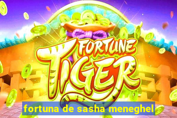 fortuna de sasha meneghel