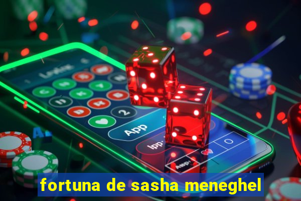 fortuna de sasha meneghel