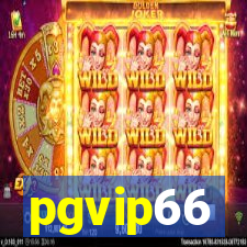 pgvip66