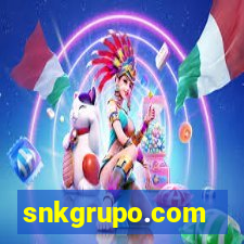 snkgrupo.com