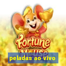 peladas ao vivo