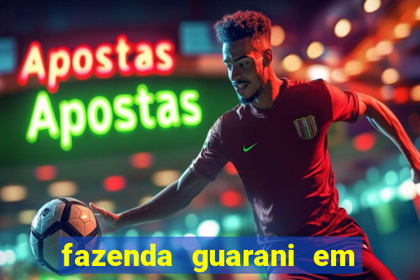 fazenda guarani em nova andradina ms