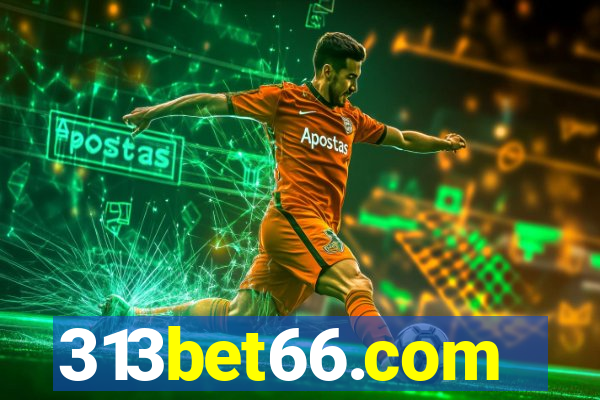 313bet66.com