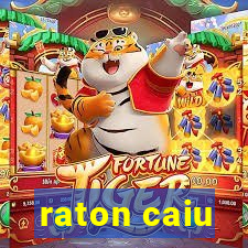 raton caiu