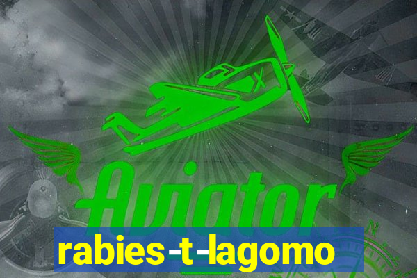 rabies-t-lagomorph