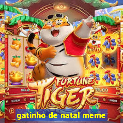 gatinho de natal meme