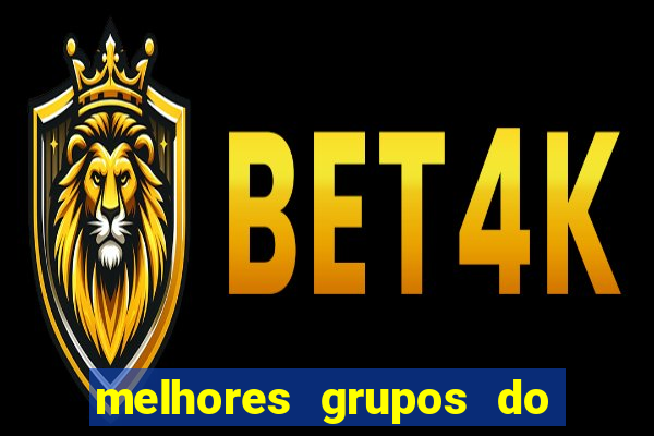 melhores grupos do telegram +18