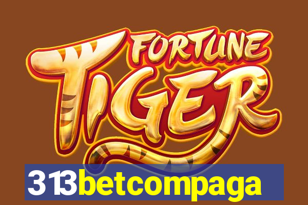 313betcompaga