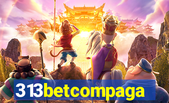 313betcompaga
