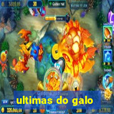 ultimas do galo