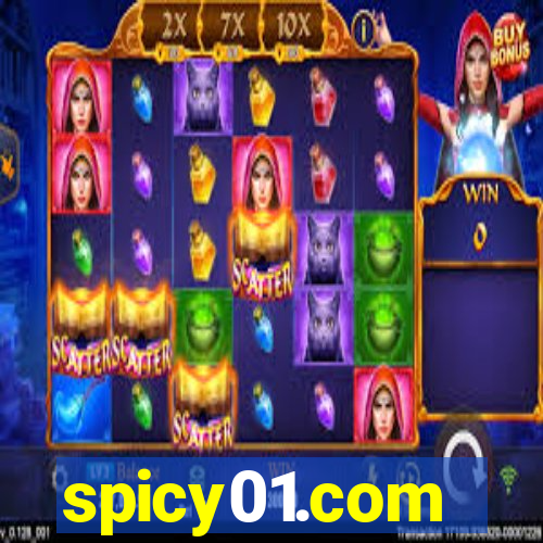 spicy01.com