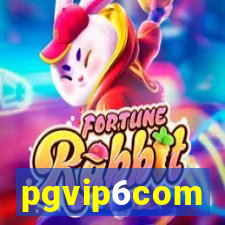 pgvip6com