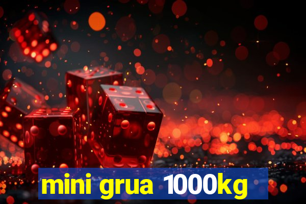 mini grua 1000kg