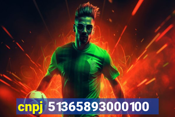cnpj 51365893000100