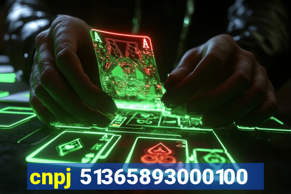 cnpj 51365893000100