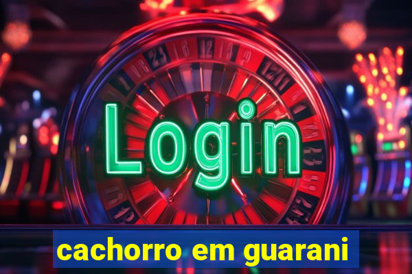 cachorro em guarani