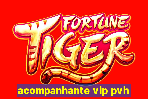 acompanhante vip pvh
