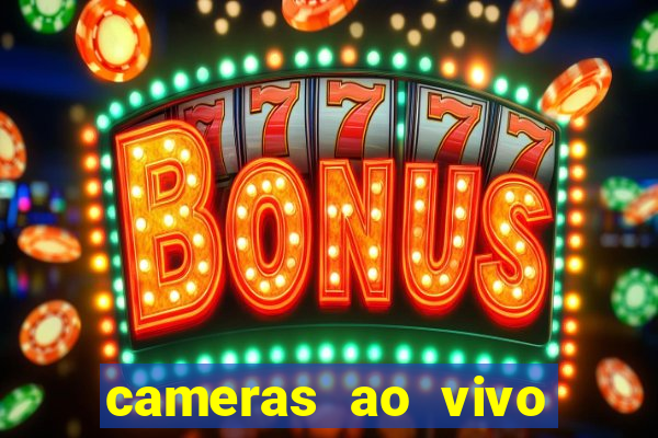cameras ao vivo beto carrero