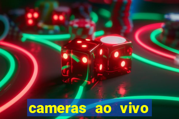 cameras ao vivo beto carrero