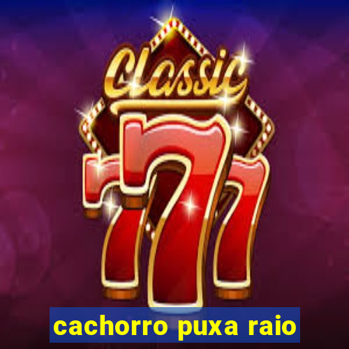 cachorro puxa raio