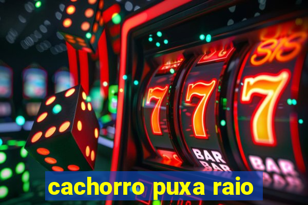 cachorro puxa raio