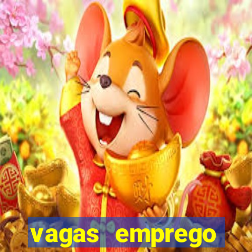 vagas emprego fazenda boa vista porto feliz