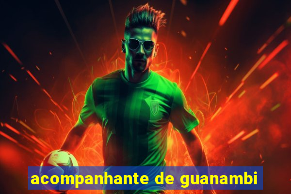 acompanhante de guanambi