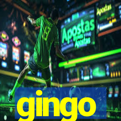 gingo