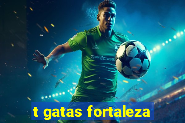 t gatas fortaleza