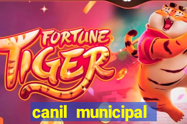 canil municipal porto alegre