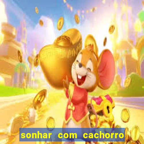 sonhar com cachorro morto jogo do bicho