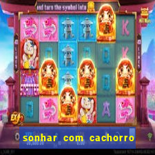 sonhar com cachorro morto jogo do bicho