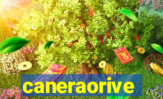 caneraorive
