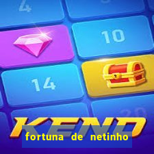 fortuna de netinho de paula