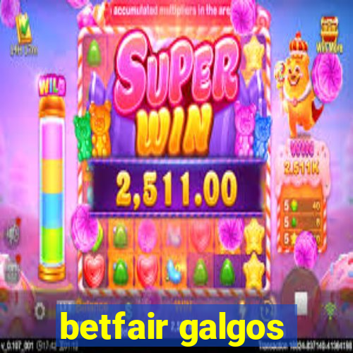 betfair galgos