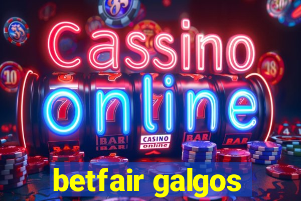 betfair galgos