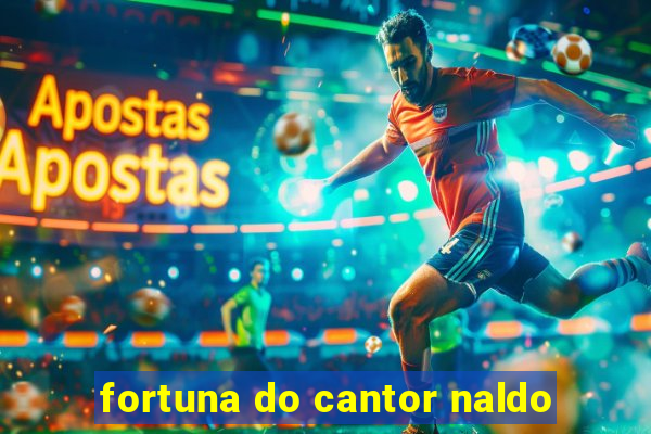 fortuna do cantor naldo