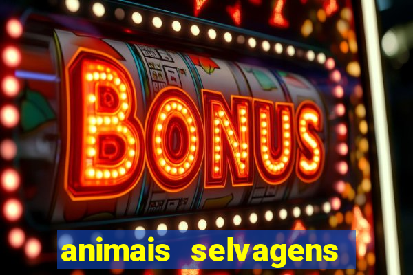 animais selvagens fotos e nomes