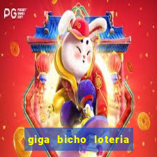 giga bicho loteria dos sonhos