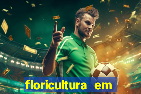 floricultura em franca sp