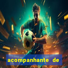acompanhante de chamada de vídeo