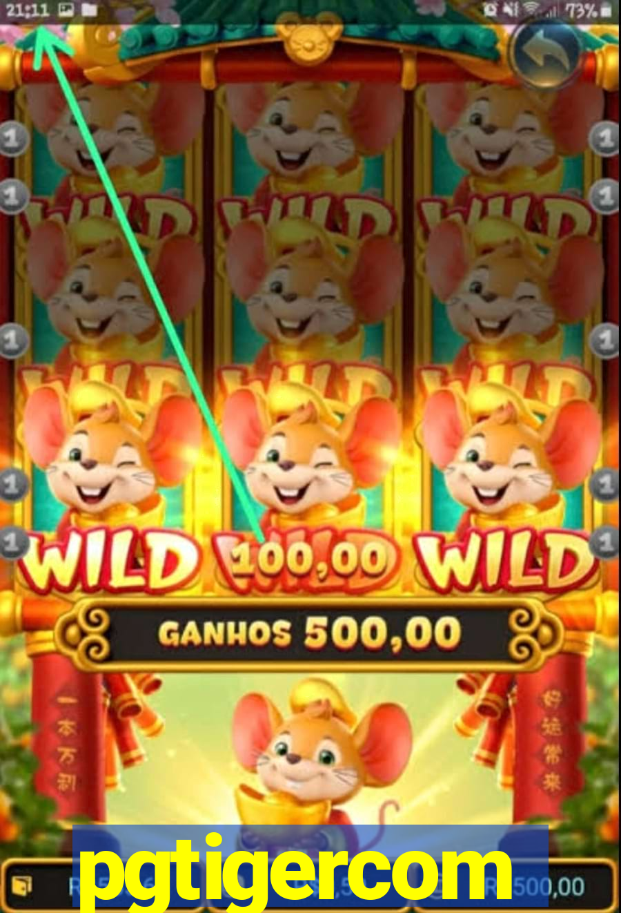 pgtigercom