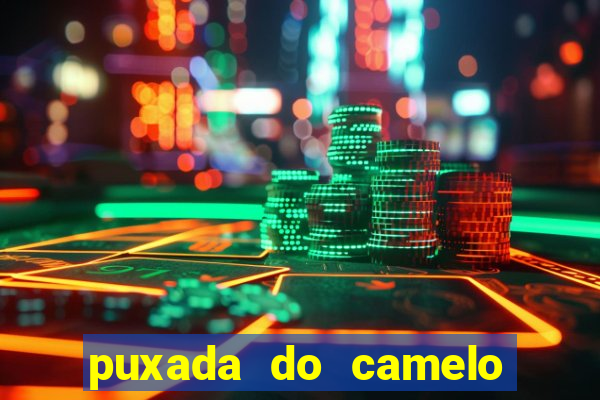 puxada do camelo jogo do bicho