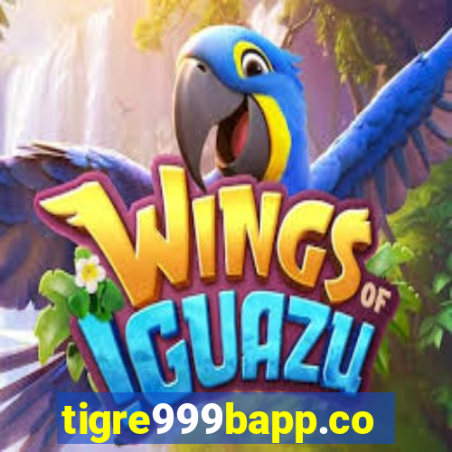 tigre999bapp.com